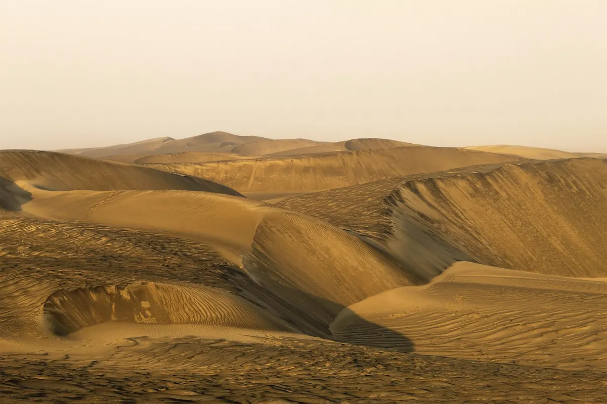 Dune: Part One vs. Part Two — What Changed and Which Is Better for Newcomers